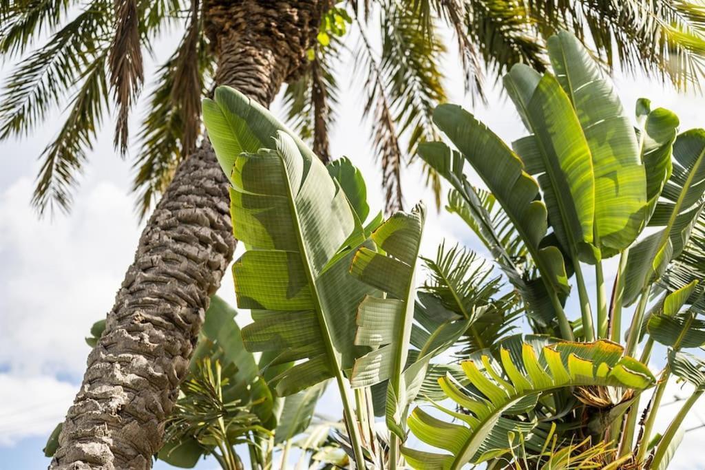 Bay Breeze Aparthotel South Bradenton Εξωτερικό φωτογραφία