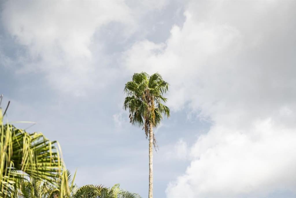 Bay Breeze Aparthotel South Bradenton Εξωτερικό φωτογραφία